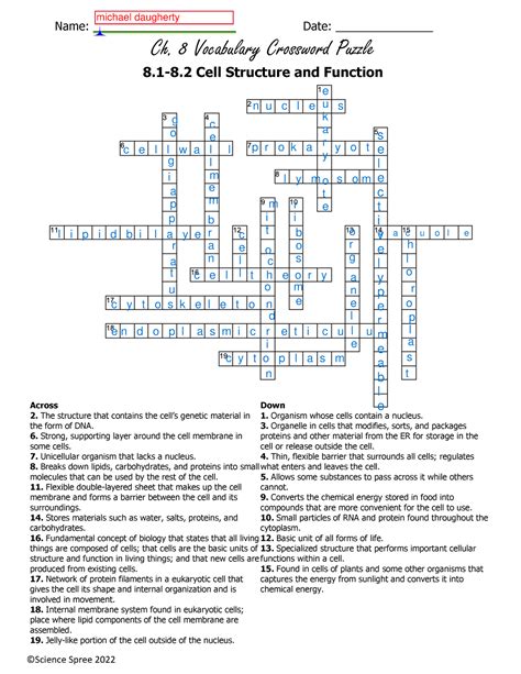 spree crossword clue